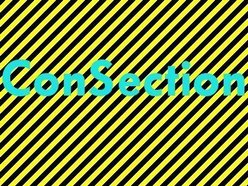 ConSection