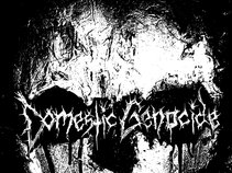 Domestic Genocide