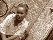 Butterflies Creation