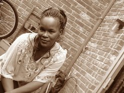 Butterflies Creation