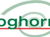 Foghorn Records
