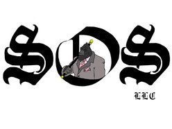 Swagg On Swoll Entertainment, LLC