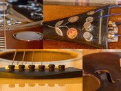 Colorado Bluegrass Music Society