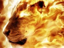 Mad Lion Entertainment