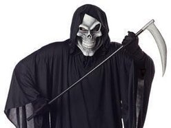 War Musik