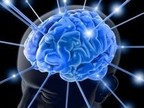 INSTINCTIVEBASS PRODUCTIONS