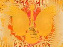 Zap Art Records