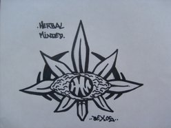Herbal_Minded