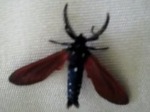 Epidemic Empire Presents...