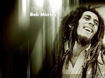 reggae music lovers