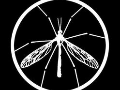 Skeeter Hawk Records