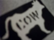 COWrecords