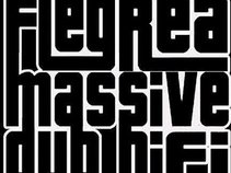 FLEGREA MASSIVE