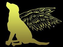 Flying Dog Records