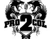 PRO2COL RECORDS L.L.C.