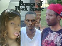 Black Snake Entertainment