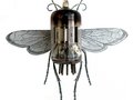 Insect 1247478664