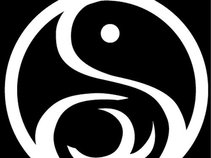 symbolic insight