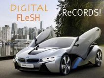DiGITAL FLeSH ReCORDS LLC