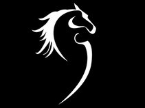 BlacKnight, Inc.