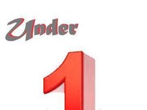 Under 1 Ent.LLC