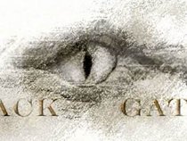 Black Gator Records tm