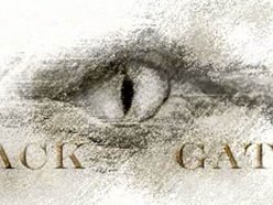 Black Gator Records tm