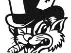 Alleycat Records