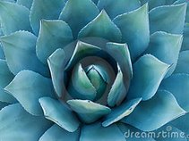 1.1 Digital Recordings