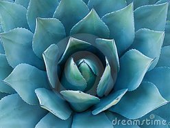 1.1 Digital Recordings