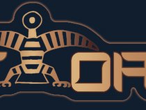 Night Oracle Records