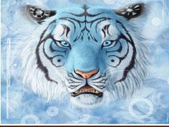 TAO Entertainment Network