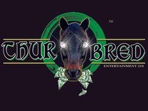 THUROBRED ENTERTAINMENT 216  LLC