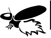 fireFly Management & Consulting