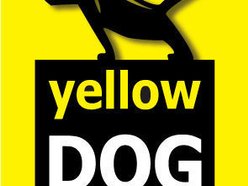 Yellow DOG Studios