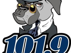 101.9 DAWG FM  - Ottawa's Best Friend