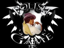 Polish Game Ent