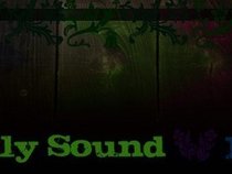 Fundamentally Sound Management