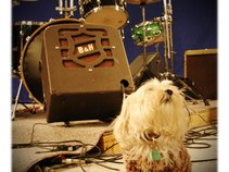 PASS Studio
