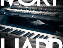 Ivory Harp