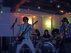 A Little Bird Told Me