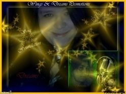 Wings & Dreams Promotions(Non-Profit)