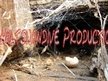 Asphaltswandive Productions Tm*
