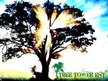 TREETOWER E.N.T.