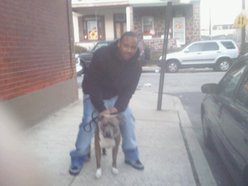 Goldie Luchini aka gold lizzy