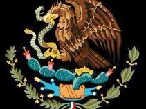 Eagle and Snake Records