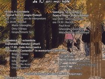 FESTIVALUL CASTANILOR