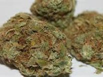 Endo Factory (Factory Funk House)