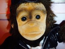 Shaun Liddell