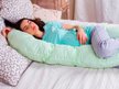 Pregily - Pregnancy Pillows